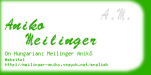 aniko meilinger business card